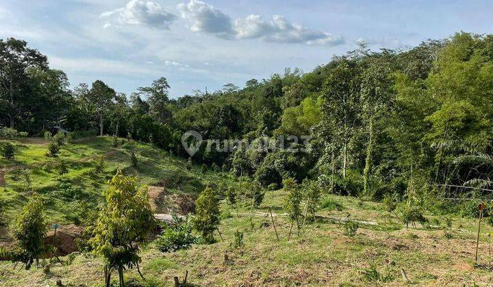 Dijual kebun buah di Metesih Karanganyar 1