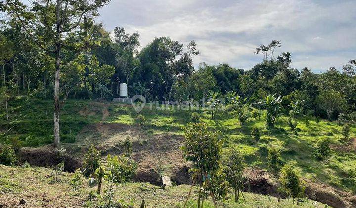 Dijual kebun buah di Metesih Karanganyar 2