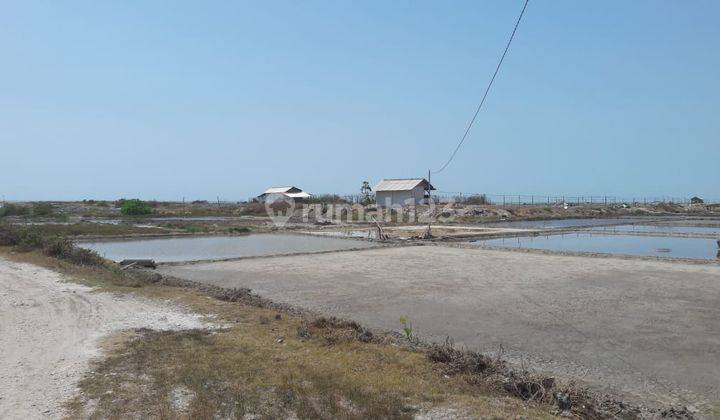 Dijual Lahan dekat pantai di Sluke Lasem Rembang Jawa Tengah cocok untuk resort / usaha tambak 1