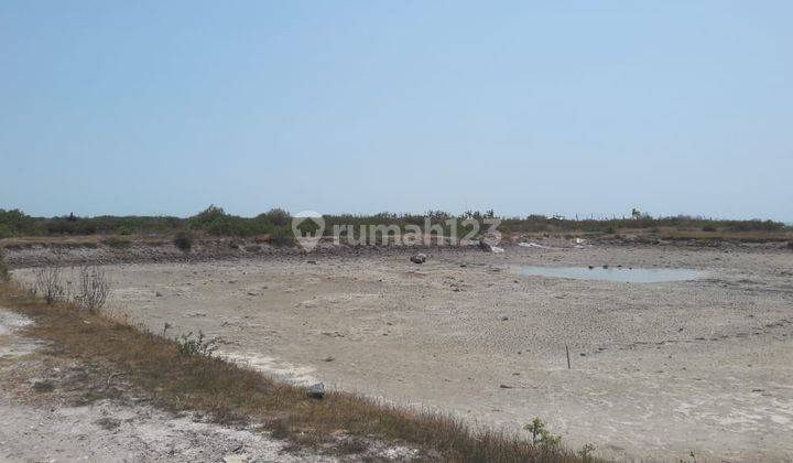 Dijual Lahan dekat pantai di Sluke Lasem Rembang Jawa Tengah cocok untuk resort / usaha tambak 2