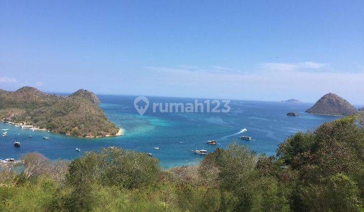 Dijual Cepat Murah Tanah 5000m2 di Pusat Kota Labuan Bajo Manggarai Nusa Tenggara Timur  2