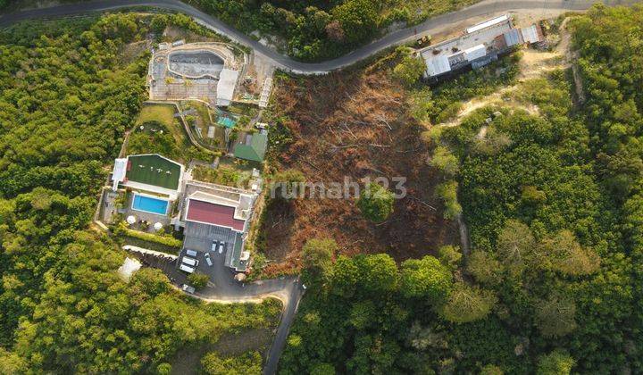 Dijual Cepat Murah Tanah 5000m2 di Pusat Kota Labuan Bajo Manggarai Nusa Tenggara Timur  1