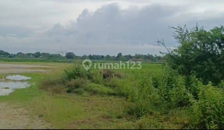 Dijual Cepat Tanah Industri Di Purwodadi Jawa Tengah 2