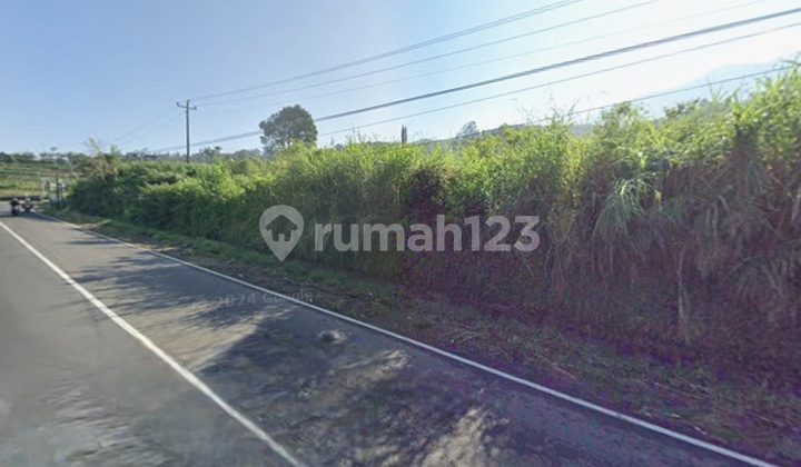 Dijual Cepat Tanah Di Pinggir Jalan Raya Magelang - Kopeng 2