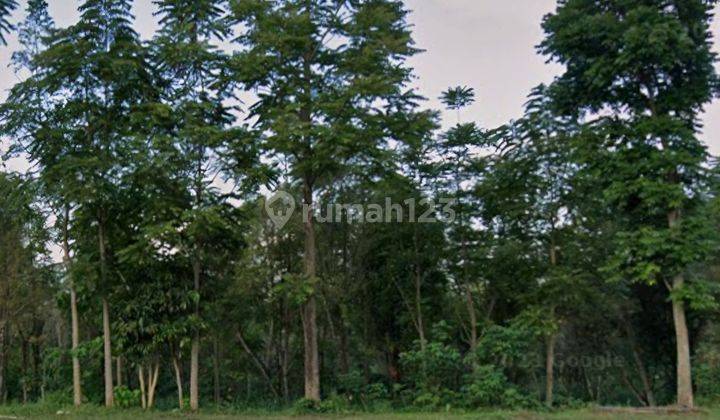 Dijual Cepat Tanah di Sumogawe, Kec.Getasan, Kab.Semarang 2