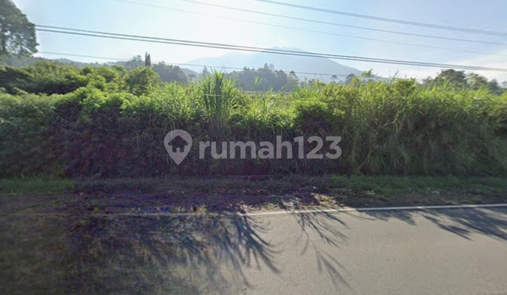 Dijual Cepat Tanah Di Pinggir Jalan Raya Magelang - Kopeng 1
