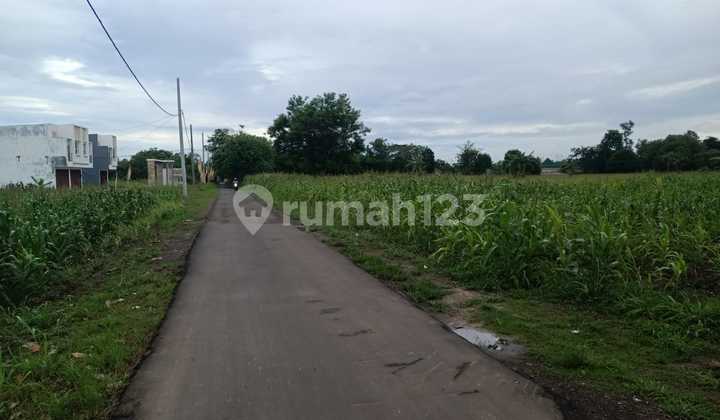 Dijual Tanah Industri di Pengampelan Serang Banten