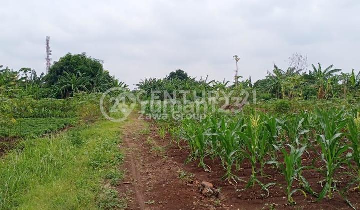 Dijual Tanah Industri Pasar Kemis Tangerang