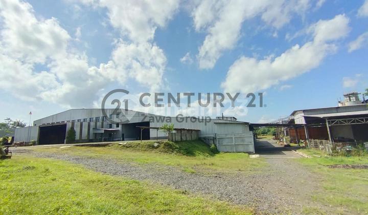 Wood Factory For Sale In Jember Central Java