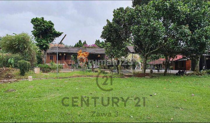 Dijual Cepat Tanah Diciawi Bgr Utk Villa,resort,outbond Dan Hotel 7
