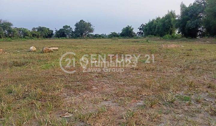 Dijual Tanah Komersil Lokas Pinggir Jalan Tigaraksa Tangerang 1