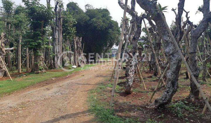 Dijual Bu Tanah Zona Industri Akses Jalan Besar Di Parung Bogor 1