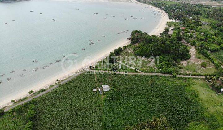 Dijual Tanah Komersil Di Lombok Nusa Tenggara Barat 2