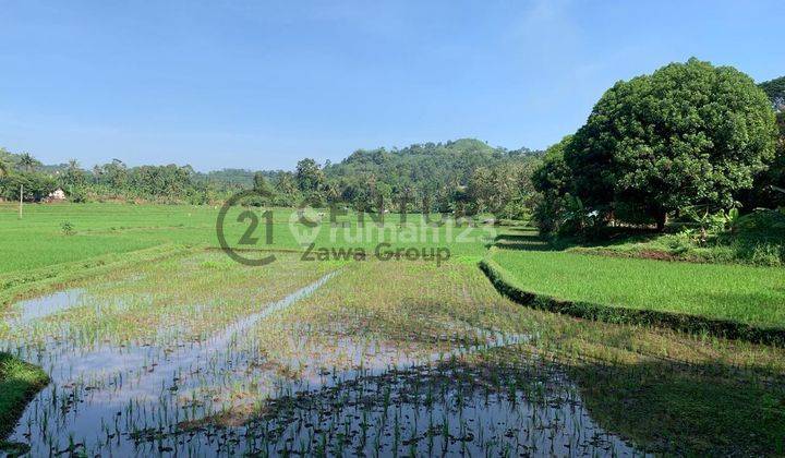 Dijual Tanah Lokasi Strategis Jalan Besar Di Cibinong Hilir Cianjur 2