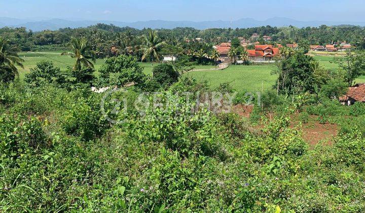 Dijual Tanah Lokasi Strategis Jalan Besar Di Cibinong Hilir Cianjur 1