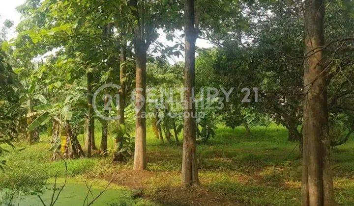 Jual Dibawah Njop Tanah Lokasi Strategis Di Tanah Tinggi Tangerang 2