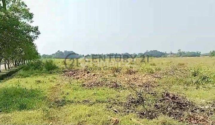 Dijual Tanah Industri Di Jawilan Cikande Serang Banten 1