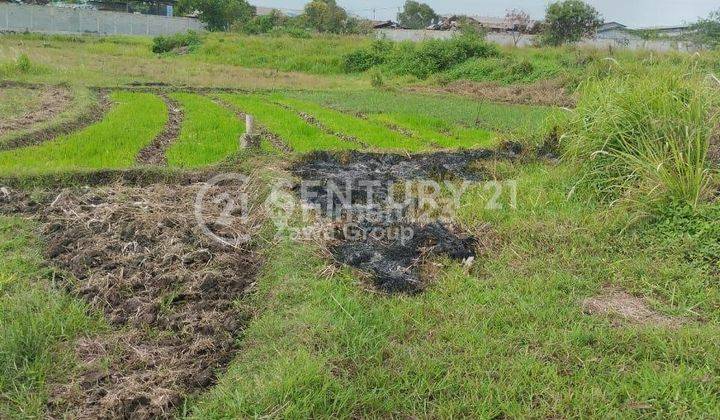 Dijual Tanah Zona Komersil Jalan utarma Raya Bojonegoro Karang Kepuh Serang 1