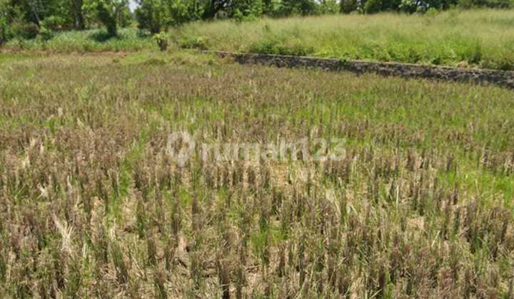 Dijual Tanah Perumahan di Serang Banten