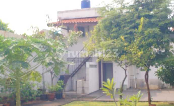 Rumah Mewah Tropical Clasic old Money Kemang Di bawah Harga pasaran