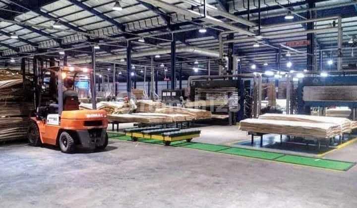 Wood Factory for Sale in Jombang, East Java