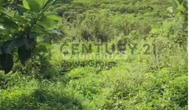 Land For Sale In Sentul Hambalang Bogor Land For Sale In Sentul Hambalang Bogor
