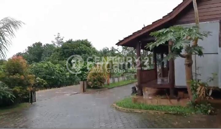 Dijual Tanah Peternakan di Subang Jawa Barat Dijual Tanah Peternakan di Subang Jawa Barat