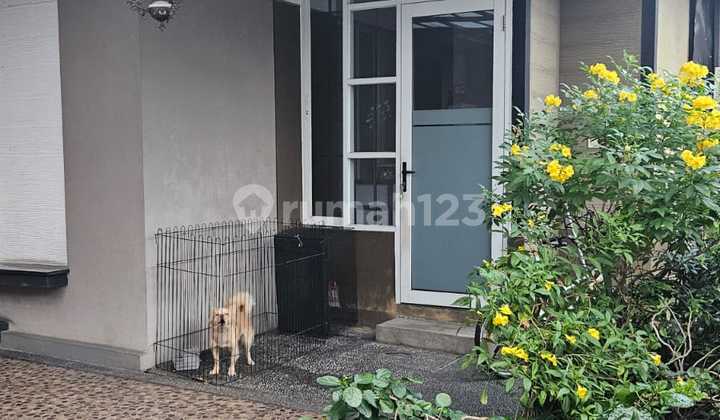 Rumah Muara karang Blok 8 4 Lantai Jakarta Utara