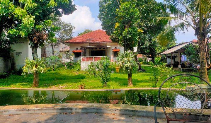 Jual Rumah Hitung Tanah Di Jln. Raya Pondok Jaya Bintaro 1