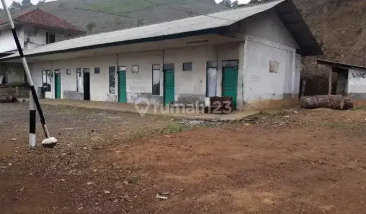 Perkebunan Teh Profit Dan Produktif di Majalengka Jawa Barat 7