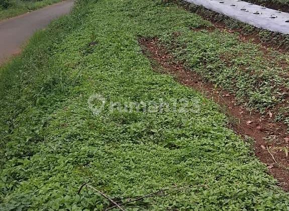 " Dijual Tanah Kampung Nyalindung Wado Kab. Sumedang Desa Wisata