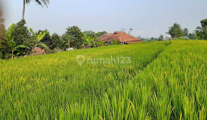 Dijua Villa Bagus Luas Di Cipatat Bandung  2