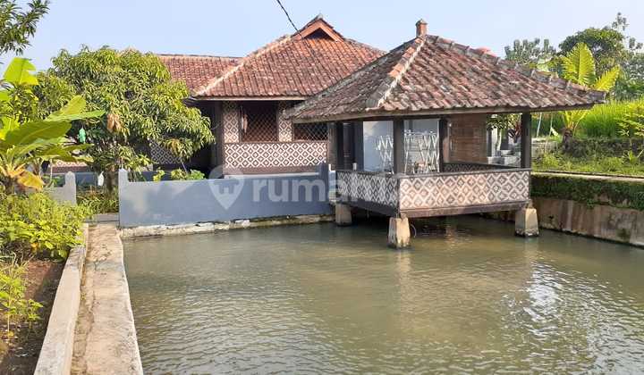 Dijua Villa Bagus Luas Di Cipatat Bandung  3