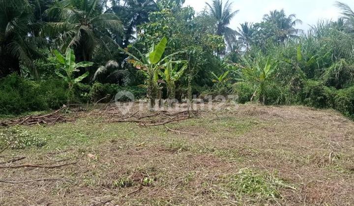 Tanah Mainroad Cocok untuk Segala Usaha di Cijeungjing Ciamis