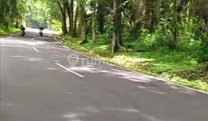 Dijual Tanah di Purwakartaprospek untuk Tempat Wisata/Villa/Cafe