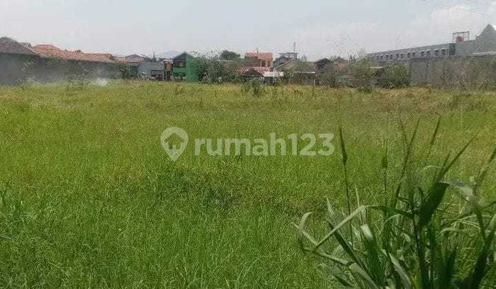 Dijual Tanah Kosong Mainroad Kopo Ketapang Dijual Tanah Kosong Mainroad Kopo Ketapang