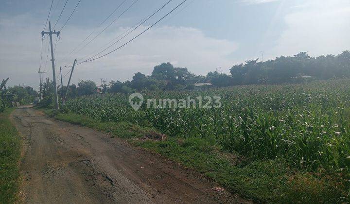 Dijual 7520 m2 Tanah Probolinggo JATIM di Jalan Salak - Desa Tegalrejo - Kec.Dringu  - Surat SHM 2