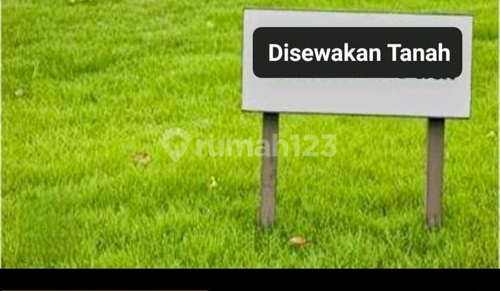 For Rent: Woodland Plot Wp 19 Citraland Surabaya Strategic Location: - Suitable for Car Parking, Ideal for Gardening Hobby /Hydroponics /Fruit Trees For Rent: Woodland Plot Wp 19 Citraland Surabaya Strategic Location: - Suitable for Car Parking, Ideal for Gardening Hobby /Hydroponics /Fruit Trees