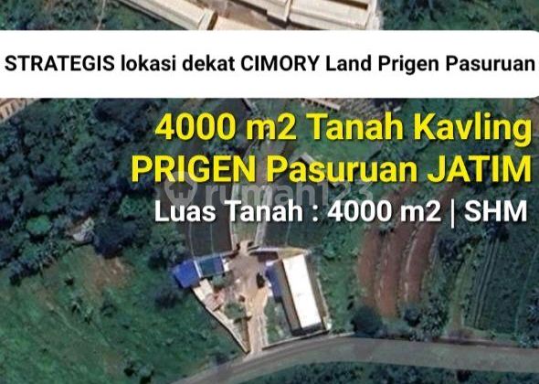 Murah Dijual 4000 M2 Tanah Kavling Sumberejo - Lumbangrejo - Prigen Pandaan Jawa Timur Dekat Cimory Dairyland Prigen Tretes - Cocok Buat Segala Usaha Peternakan Ayam, Perkebunan Greenhouse , Cafe, Resto, Dll