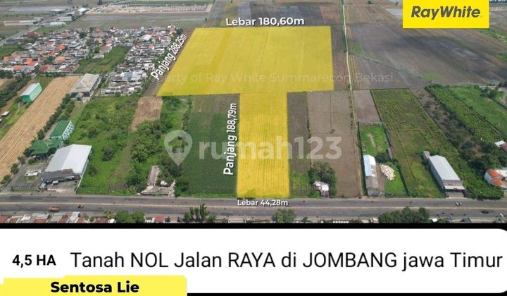 For Sale 4.5 Hectares of Land on Mojoagung Main Road - Jombang - East Java - Fronts Main Road Commercial Area Location Near Bank BRI, Agricultural Seedling Office, Suitable for All Businesses - SHM Certificate For Sale 4.5 Hectares of Land on Mojoagung Main Road - Jombang - East Java - Fronts Main Road Commercial Area Location Near Bank BRI, Agricultural Seedling Office, Suitable for All Businesses - SHM Certificate