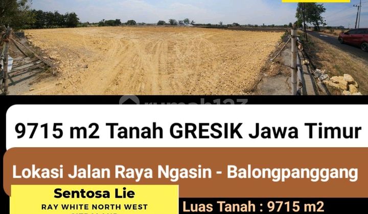 Murah Dijual 9715 M2 Tanah Kavling Jalan Raya Ngasin - Balongpanggang - Gresik - Jawa Timur - Shm - Cocok Buat Gudang, Workshop Dll