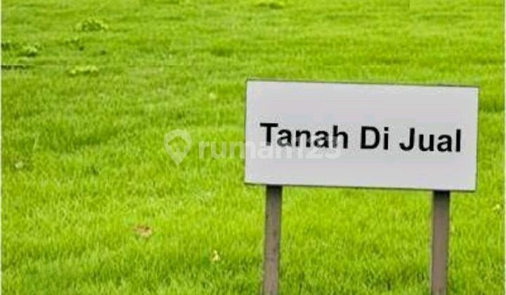 Dijual 1600 M2 Tanah Raya Domas Menganti Gresik Jatim - Hadap Nol Jalan Raya - SHM