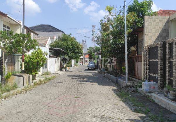 Hanya 2 M An Rumah Lebar 11 di Klampis Semolo Timur 2