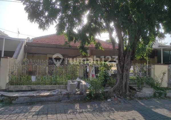 Rumah Lama Hitung Tanah Dharmahusada Dekat Superindo Hadap Timur