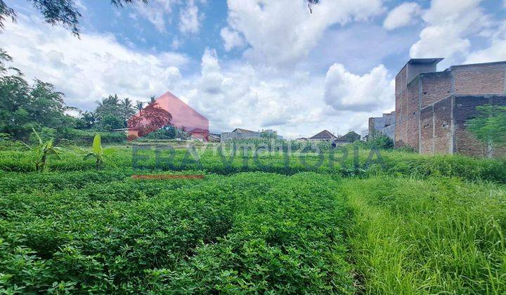 Tanah jual, jalan lebar dan bagus, dekat wisata air tirtasani 5