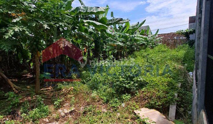 Tanah jual, pinggir jalan besar, mastrip, tengah kota 6