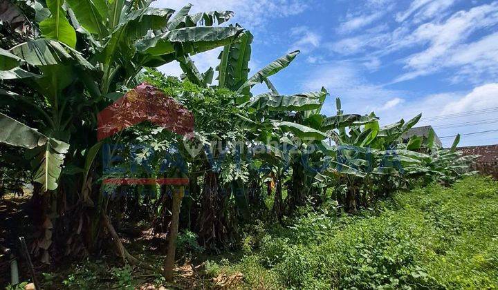 Tanah jual, pinggir jalan besar, mastrip, tengah kota 8