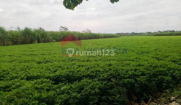 Dijual Tanah Luas Tembarak Kertosono Nganjuk Dekat Rsud Kertosono 3