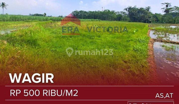 Tanah jual wagir subur ada pohon sengon sejuk dekat pemukiman 1