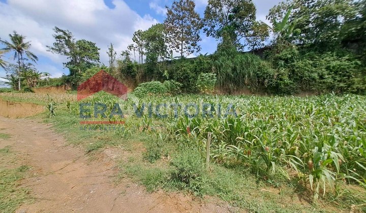 Tanah Jual Dekat Gudang Amunisi Pondok Pesantren Pasar Tajinan